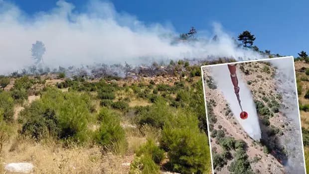 İzmir ve Bursa'daki orman yangınları kontral altına alındı
