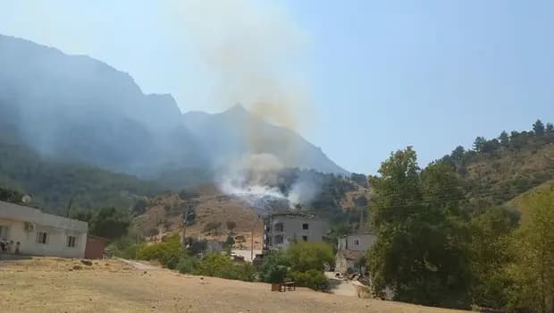 Manisa'da orman yangını! Ekipler müdahale ediyor