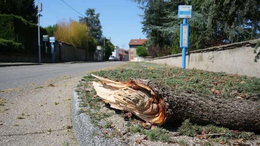 Fransa'nın güneyinde fırtına hayatı olumsuz etkiledi
