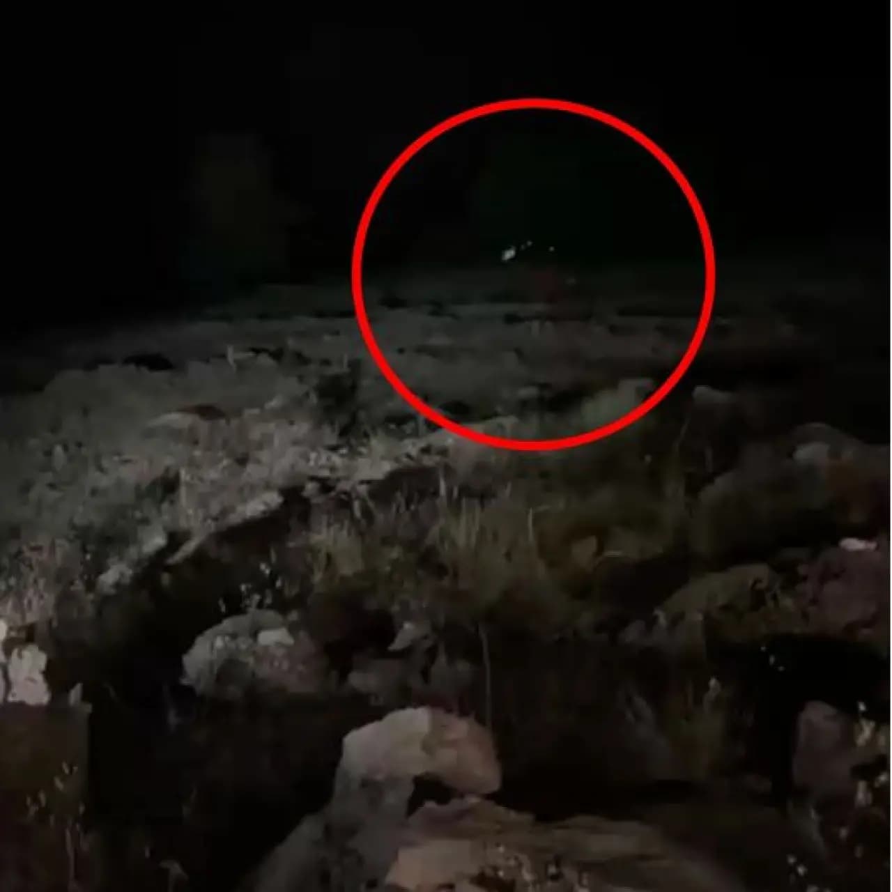 600 metre yuvarlandı! 4 ölü, 5 yaralı