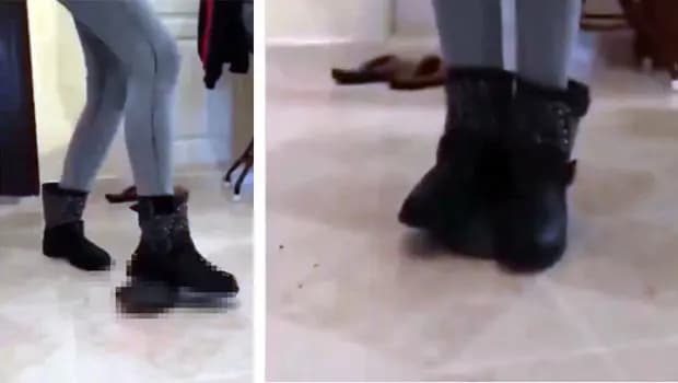 Sosyal medyada infial yaratmıştı! Kaplumbağayı ezerek öldürdüğü görüntüler 15 yıl sonra ortaya çıktı... Gözaltına alındı