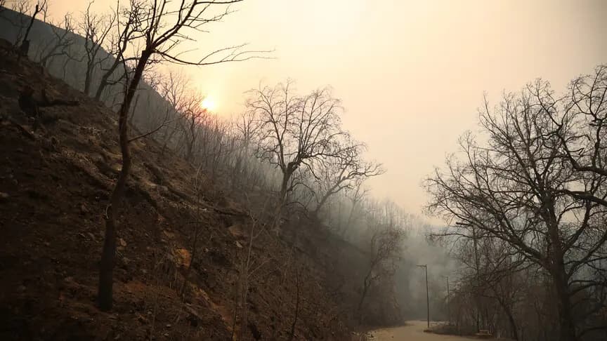 Cezayir'de son 24 saatte çıkan 174 yangından 64'ü devam ediyor