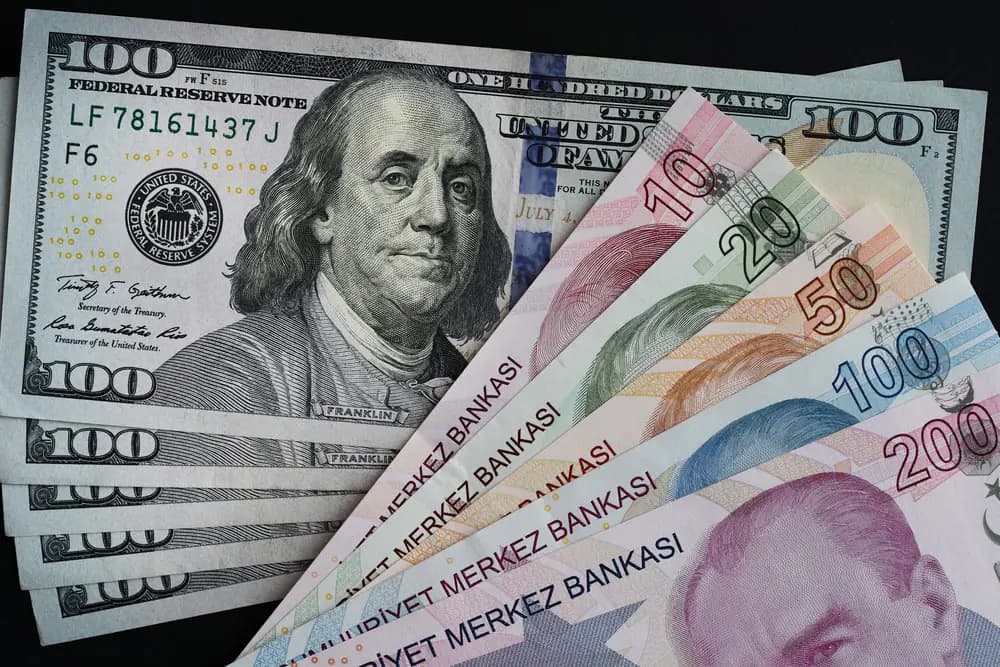 Koç Üniversitesi'nin anketinde dolar sorusuna şaşırtan yanıt