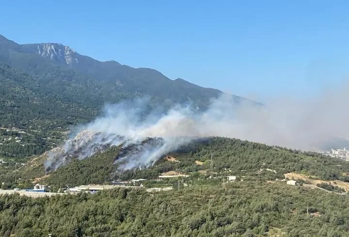 Bursa'da 4 ayrı noktada çıkan orman yangınları kontrol altına alındı