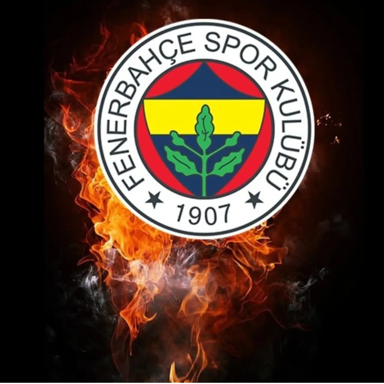 Fenerbahçe'nin Lyon kadrosunda 4 eksik!
