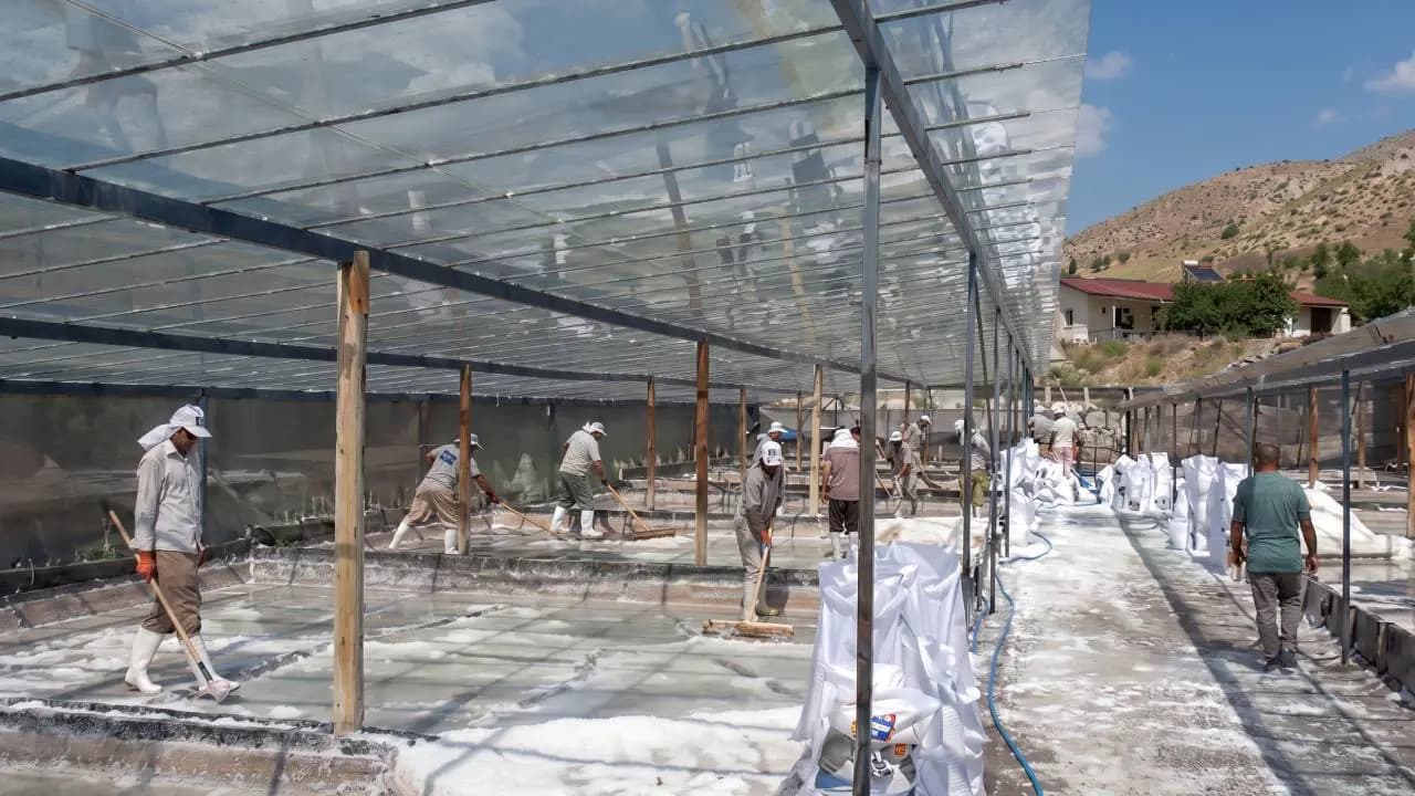 Türkiye'de sadece tek bir ilçede yetişiyor: Suyu ekip tuz biçiyorlar
