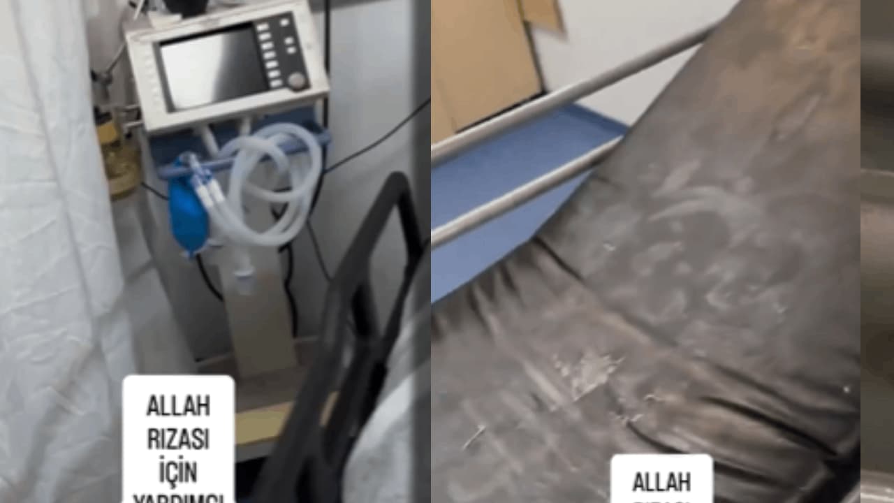 Sosyal medya ayağa kalkmıştı... Mide bulandıran görüntülerin ardından bakanlık harekete geçti