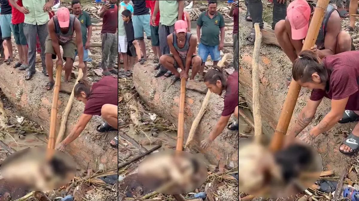 Cesetler üzerinde talan yarışı: Nepal'deki sel felaketinde insanlık dışı görüntüler!