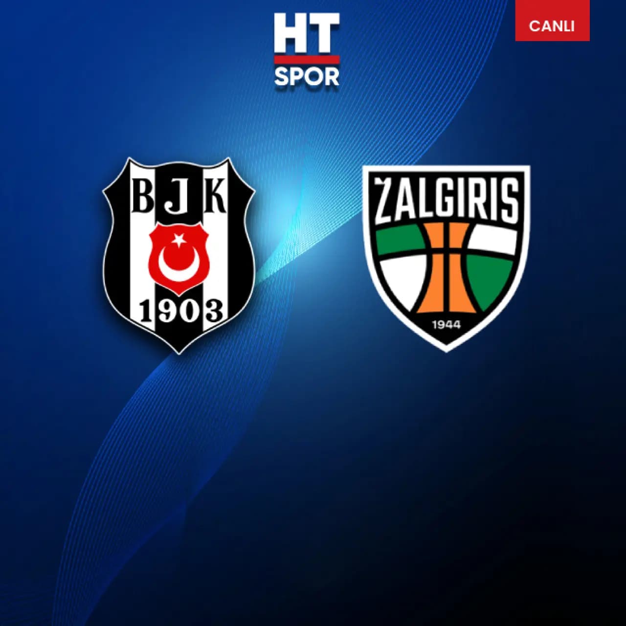 Kartal tura kanat çırptı!