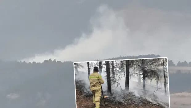 Kahramanmaraş'ta Ahır Dağı’nda orman yangını! Müdahale ediliyor