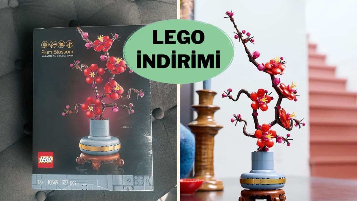 Evinize renk katacak LEGO Icons Erik Çiçeği İndirimde!