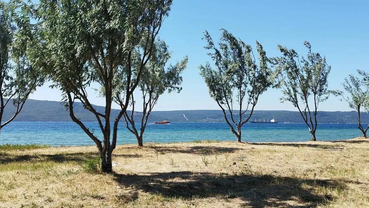 Çanakkale’de plajda mühimmat bulundu