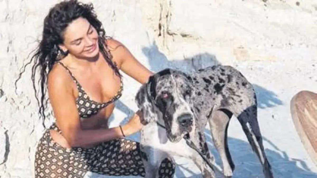 Köpek sahipleniyor