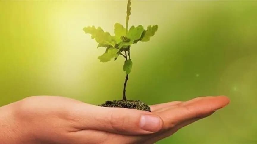 COP31'de taahhütlerin aksiyona dönüşmesi hedefleniyor
