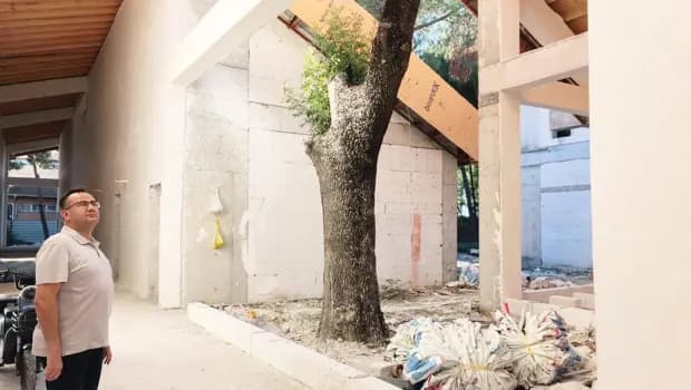 50 yıllık ağaçlar okul binasında yaşatılacak