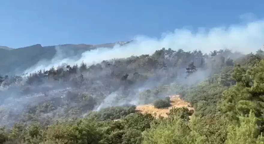 Bursa'da 3 farklı noktada orman yangını