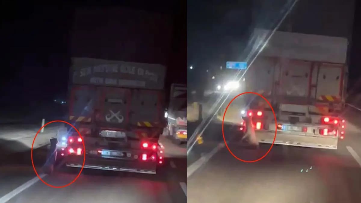 Bunun adı: Eziyet... Kamyonetinin arkasına bağlayıp kilometrelerce sürükledi
