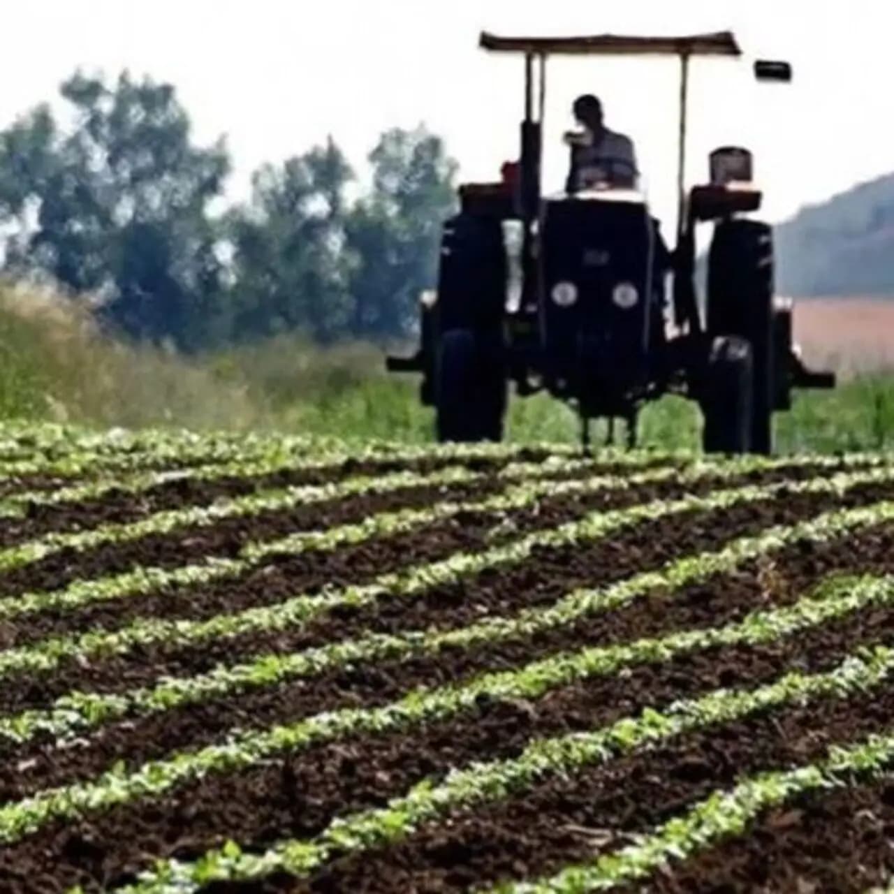 Tarımsal girdi fiyatları haziranda geriledi