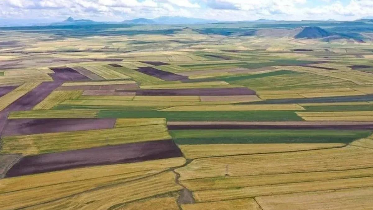 Kullanılmayan araziler için karar verildi
