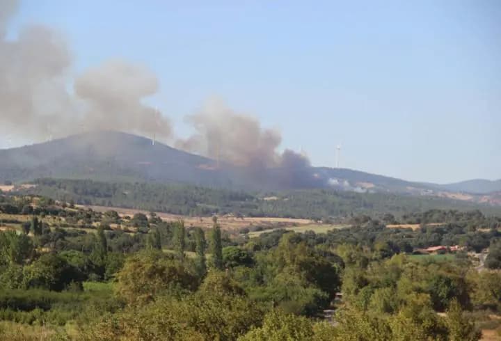 Çanakkale'de orman yangını