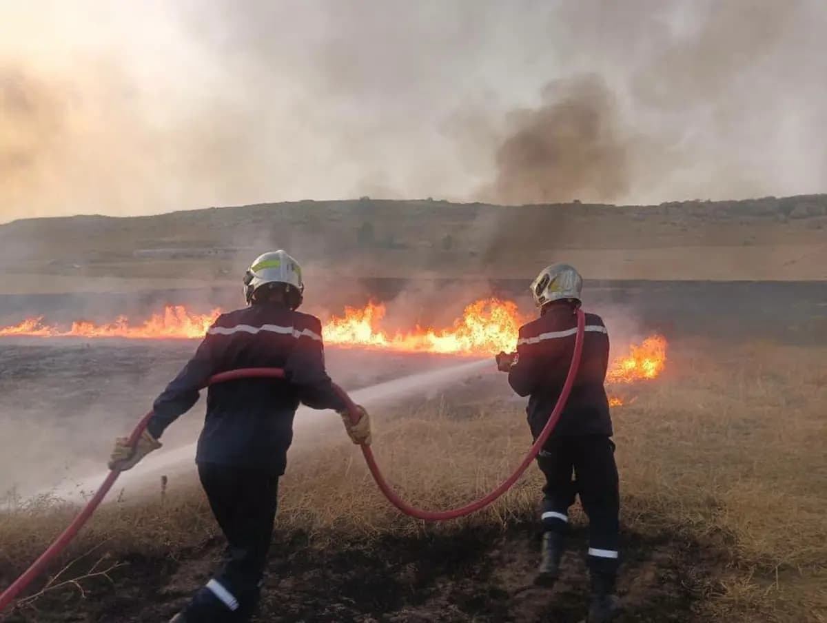 Cezayir'de orman yangınları: 12 kişi hayatını kaybetti