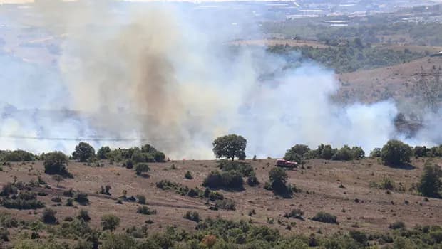 Kocaeli'de ormanlık alanda yangın! Kontrol altına alındı