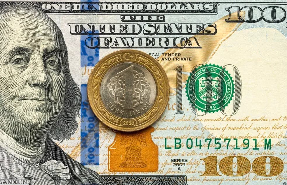 Dolar bir yıl içinde yüzde 22 değerlenecek