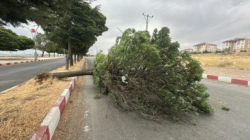 Van ve Erzurum'da şiddetli rüzgar etkili oldu