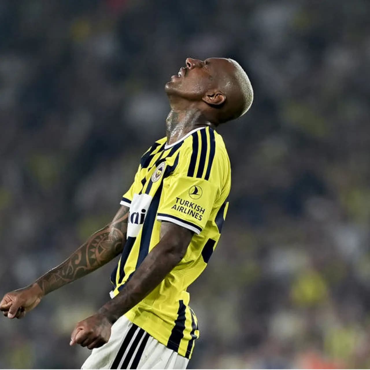 F.Bahçe'de Anderson Talisca şoku!