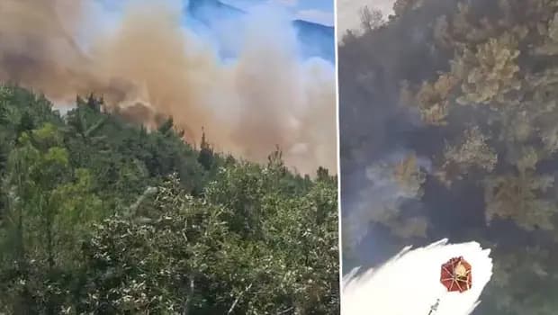 Sındırgı'daki orman yangını kontrol altına alındı! 3 şüpheli gözaltında