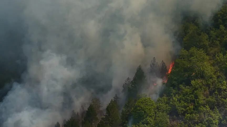 Bosna Hersek'in başkenti Saraybosna'da orman yangını