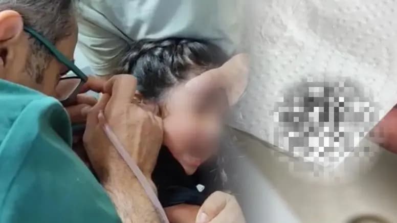 5 yaşındaki çocuğun kulağından canlı kene çıkarıldı
