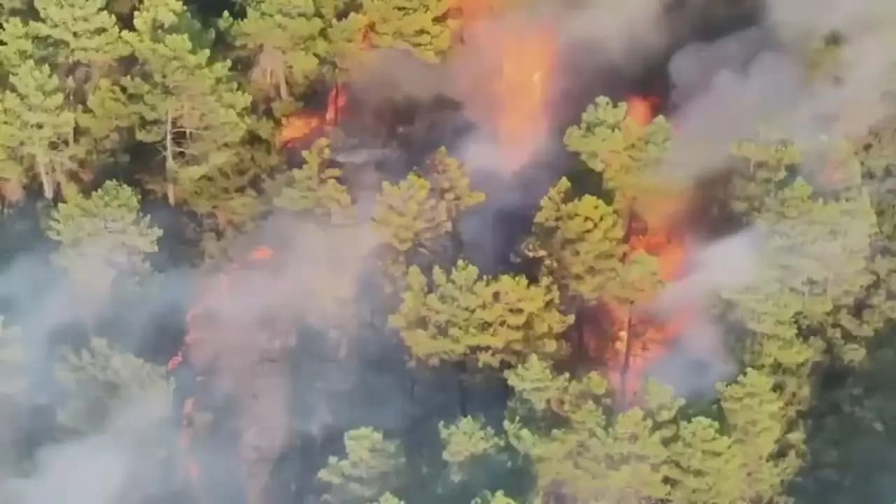 Fethiye'de orman yangını! Evler tahliye edildi