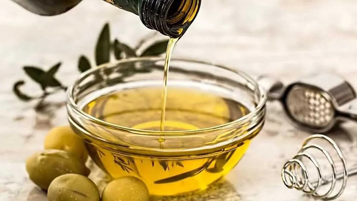 Yeni hasat sezonuna stokla giren zeytin üreticisi: Zeytin dalda kalabilir