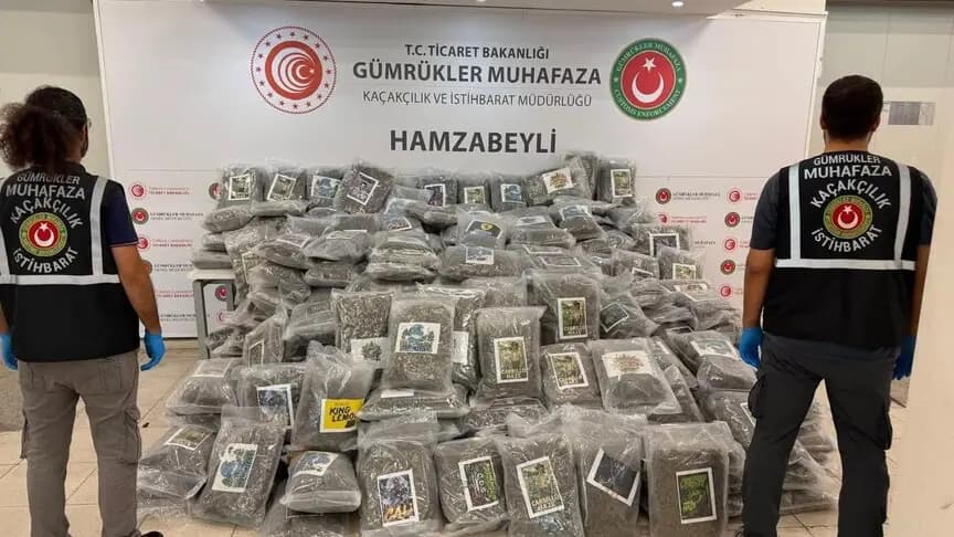 Hamzabeyli Sınır Kapısı'nda bir tırda yaklaşık 288 kilogram esrar ele geçirildi
