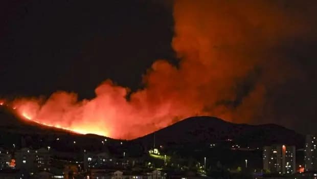 Başkentte ağaçlık alanda yangın... Ankara Valiliğinden açıklama: 1 kişi gözaltına alındı