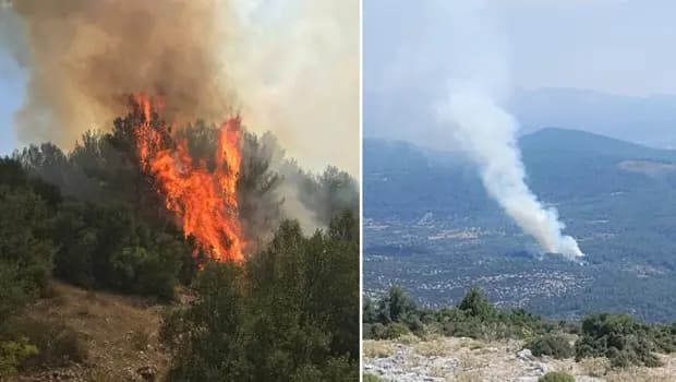 Muğla'daki orman yangını kontrol altına alındı