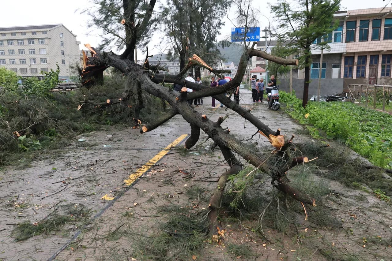 Çin'i Maysak Tayfunu vurdu: 159 ölü