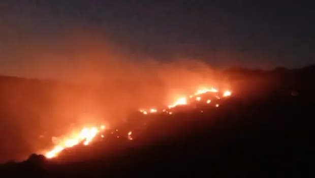 Afyonkarahisar’da orman yangını