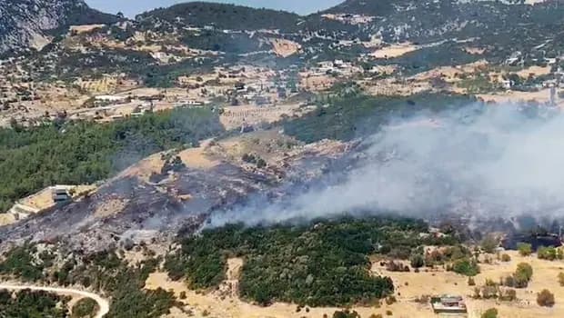Orman yangınları... 73 soruşturma, 46 şüpheli, 12 tutuklama