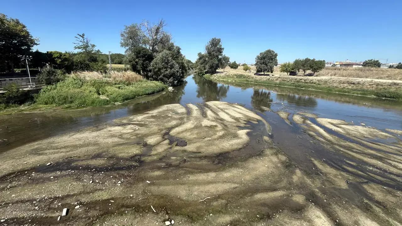 Debisi düşen Tunca Nehri’nde 'kum adacıkları' ortaya çıktı