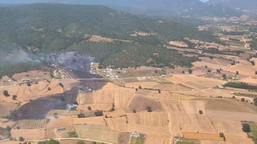 Bursa'da çıkan orman yangınına müdahale ediliyor