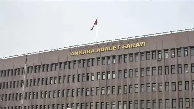Yavru kedi işkenceyle öldürüldü iddiasına ilişkin soruşturma... 2 kişi hakkında gözaltı kararı
