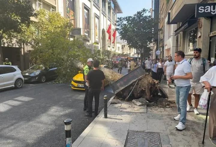 Şişli’de ağaç devrildi: Yol trafiğe kapandı