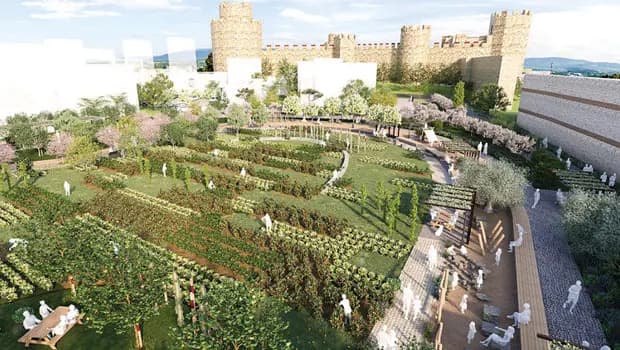 Sur dibinden sofralara: Yedikule bostanları yeniden yeşeriyor
