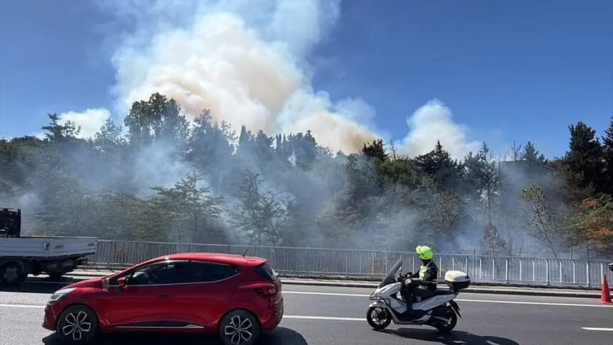İstanbul'da otluk alanda çıkan yangına müdahale ediliyor