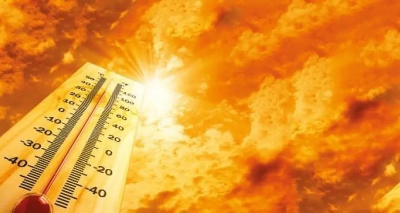 Ağustos rekoru! Dünya en sıcak ayı yaşadı