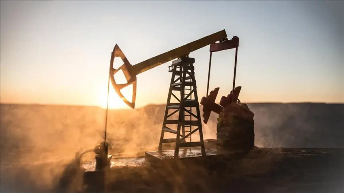 TPAO iki ilde 2028'e kadar petrol aramaya devam edecek