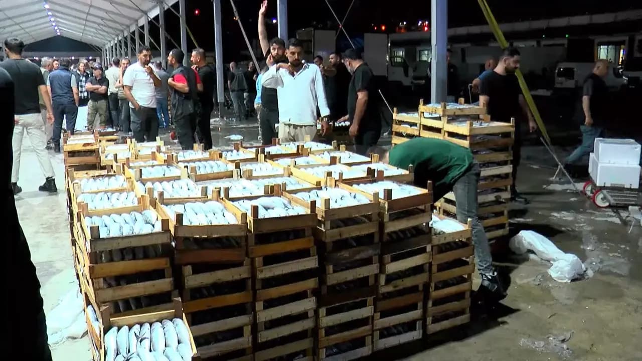 Denizden gece yarısı kasa kasa balık fışkırdı: 20 sene sonra ilk defa böylesi görüldü