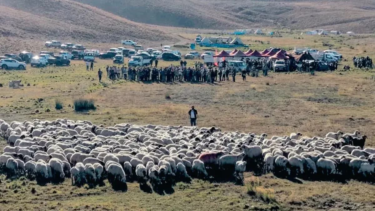 Terörüsüz Türkiye ile dağlara bahar geldi